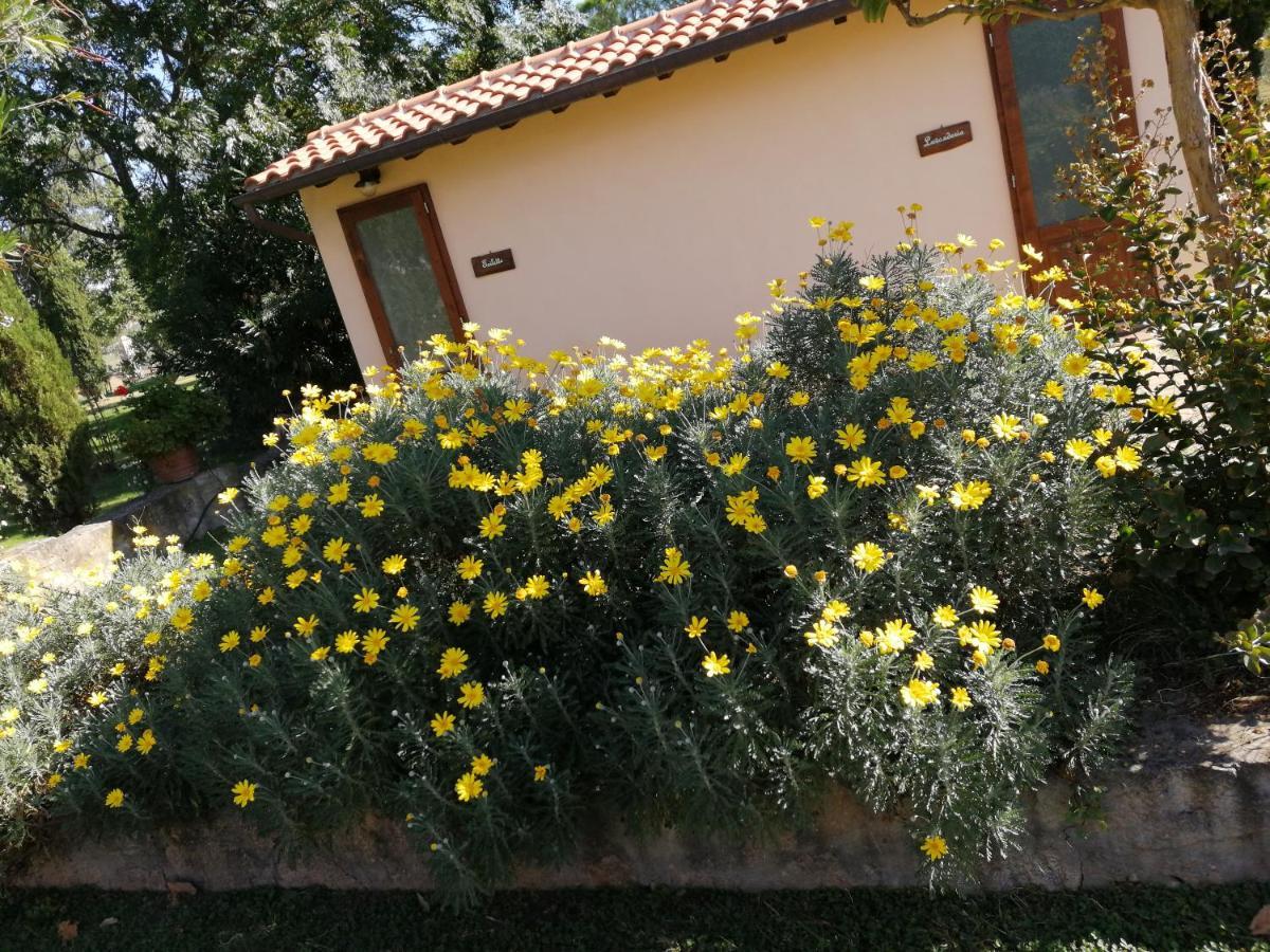 Il Podere Di Sole 罗卡斯特拉达 外观 照片