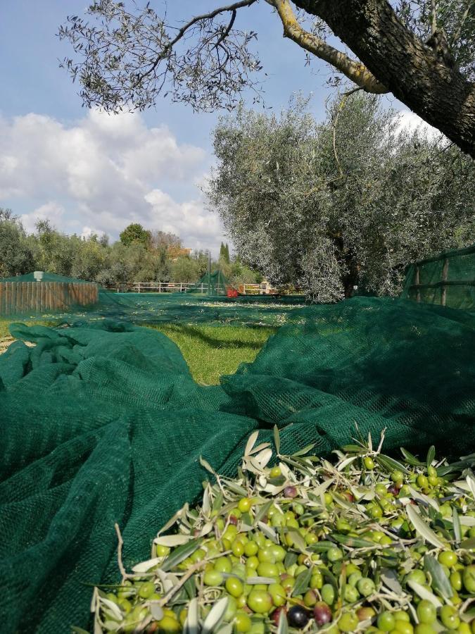 Il Podere Di Sole 罗卡斯特拉达 外观 照片