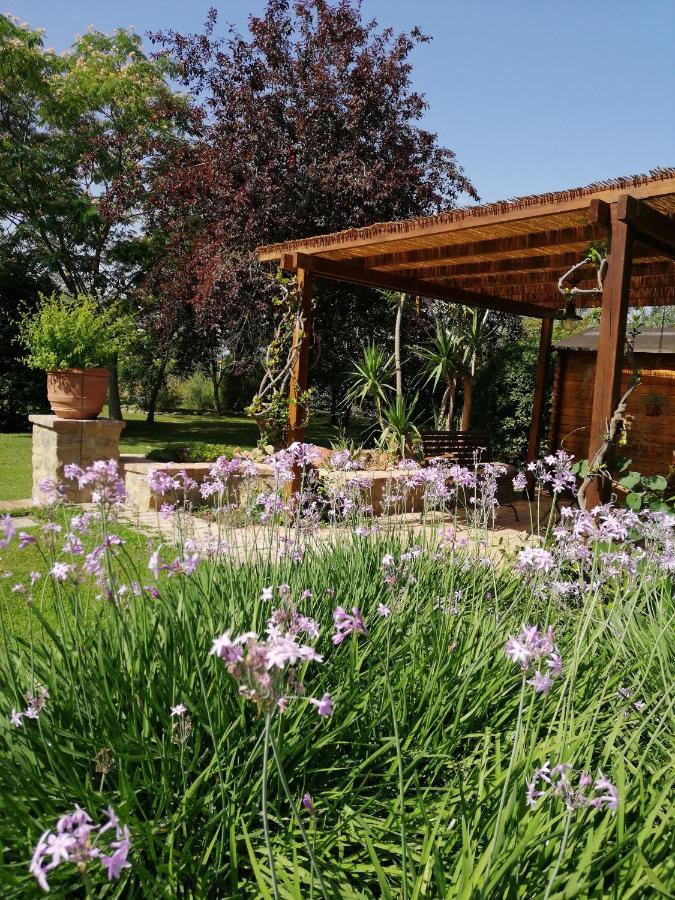 Il Podere Di Sole 罗卡斯特拉达 外观 照片